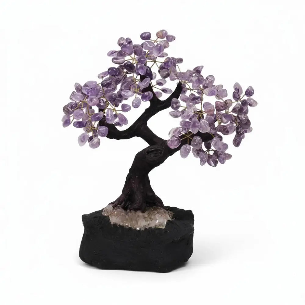 Amethyst Bonsai Tree 6.6Kgs crystal tree