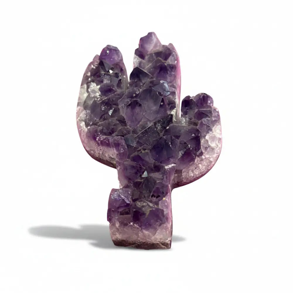 Amethyst Druze Cactus amethyst druze