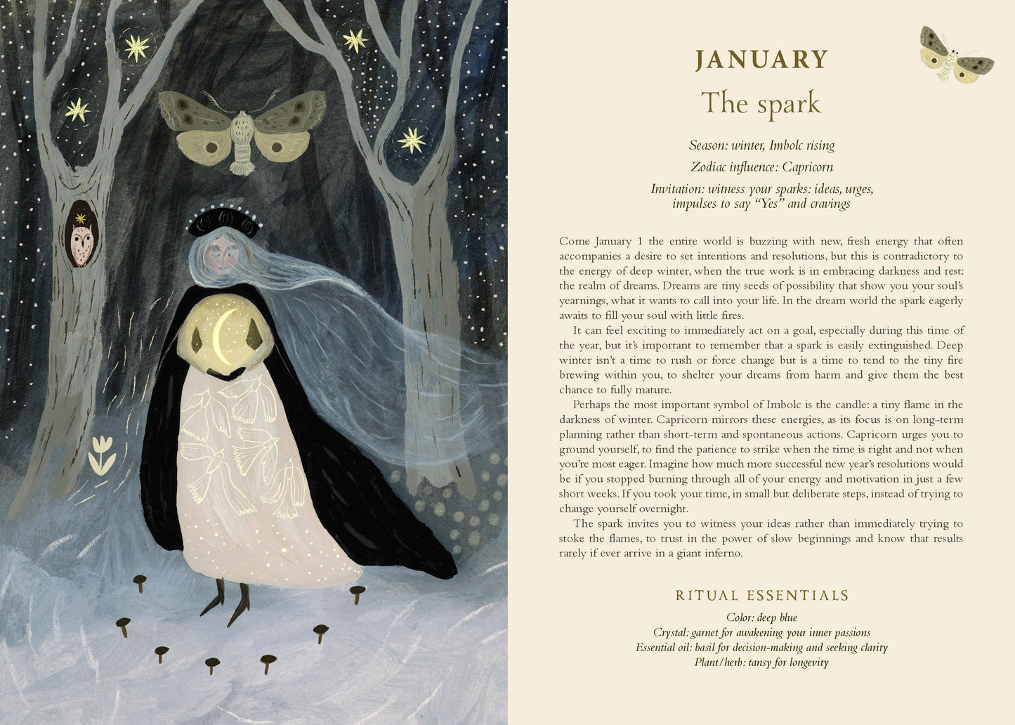2027 Seasons of the Witch Planner Calendar