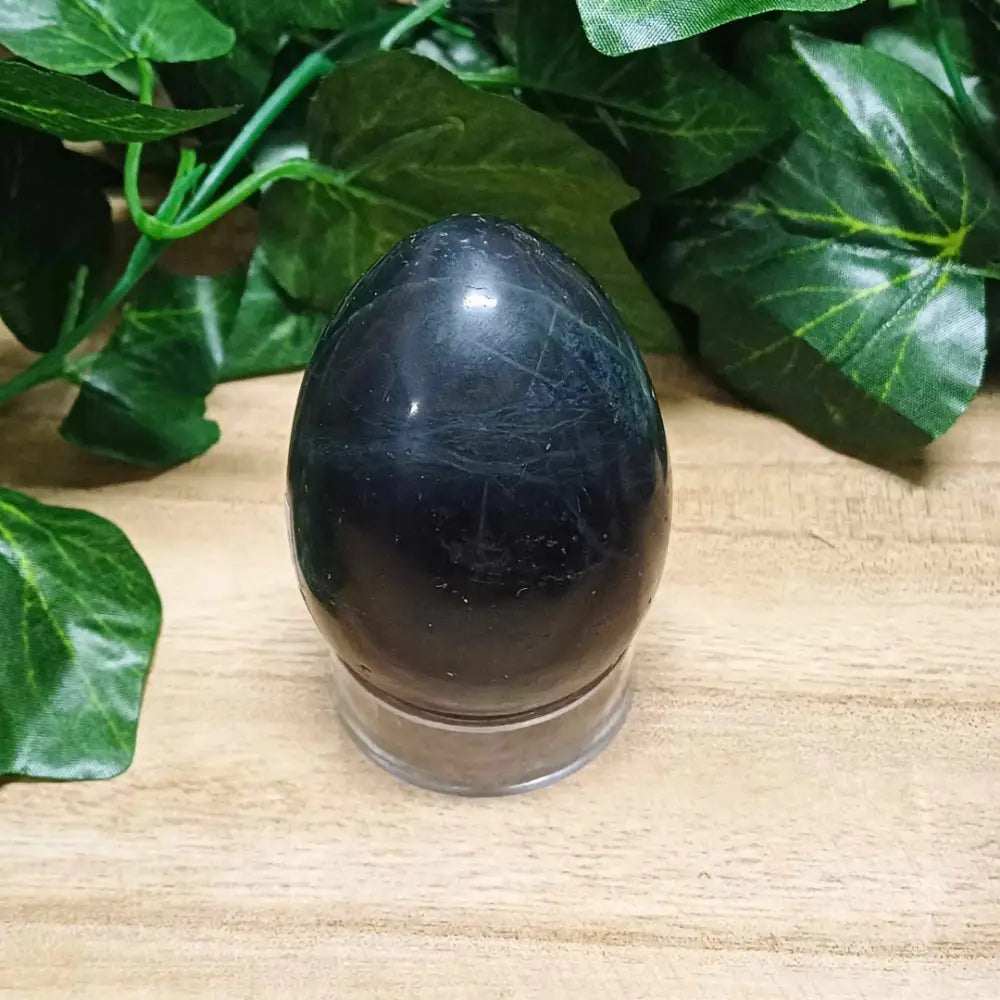 Black Onyx Egg 001 crystal egg