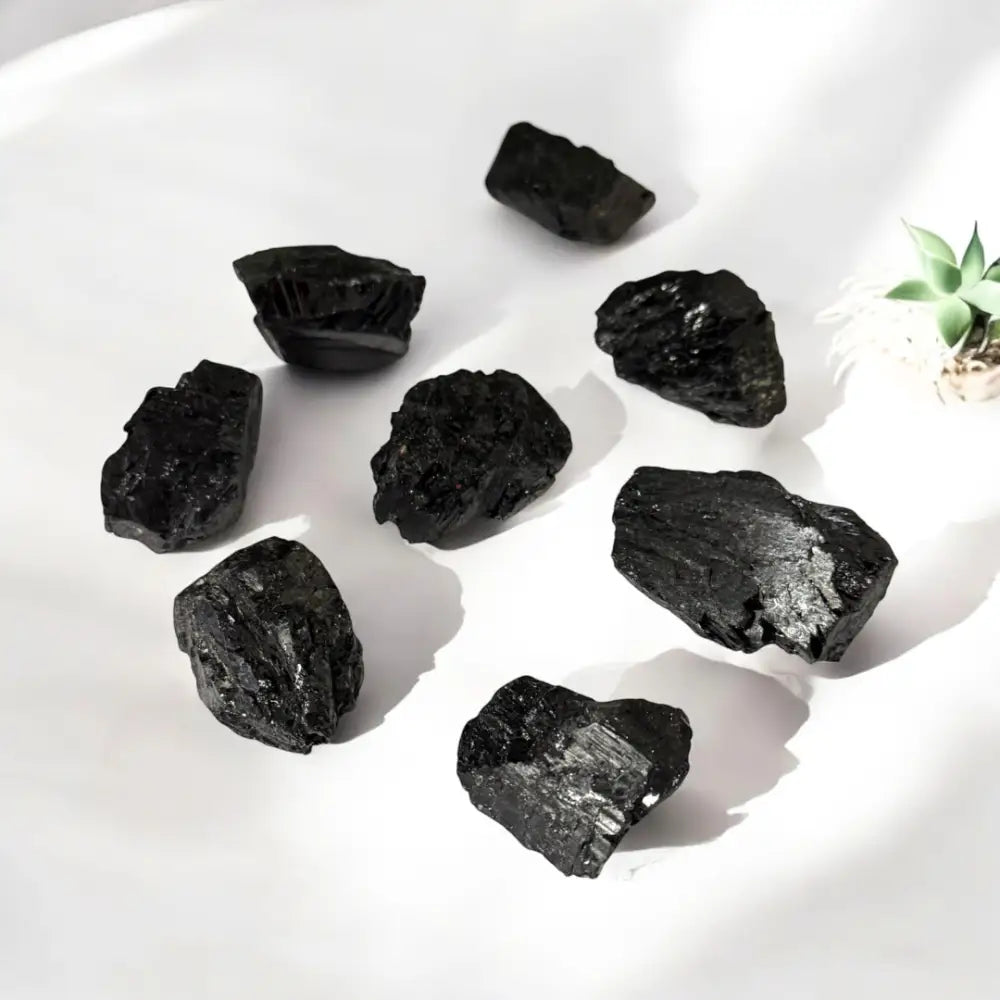 Black Tourmaline Rough Rod ~ Shield/Protection Small Crystal rough
