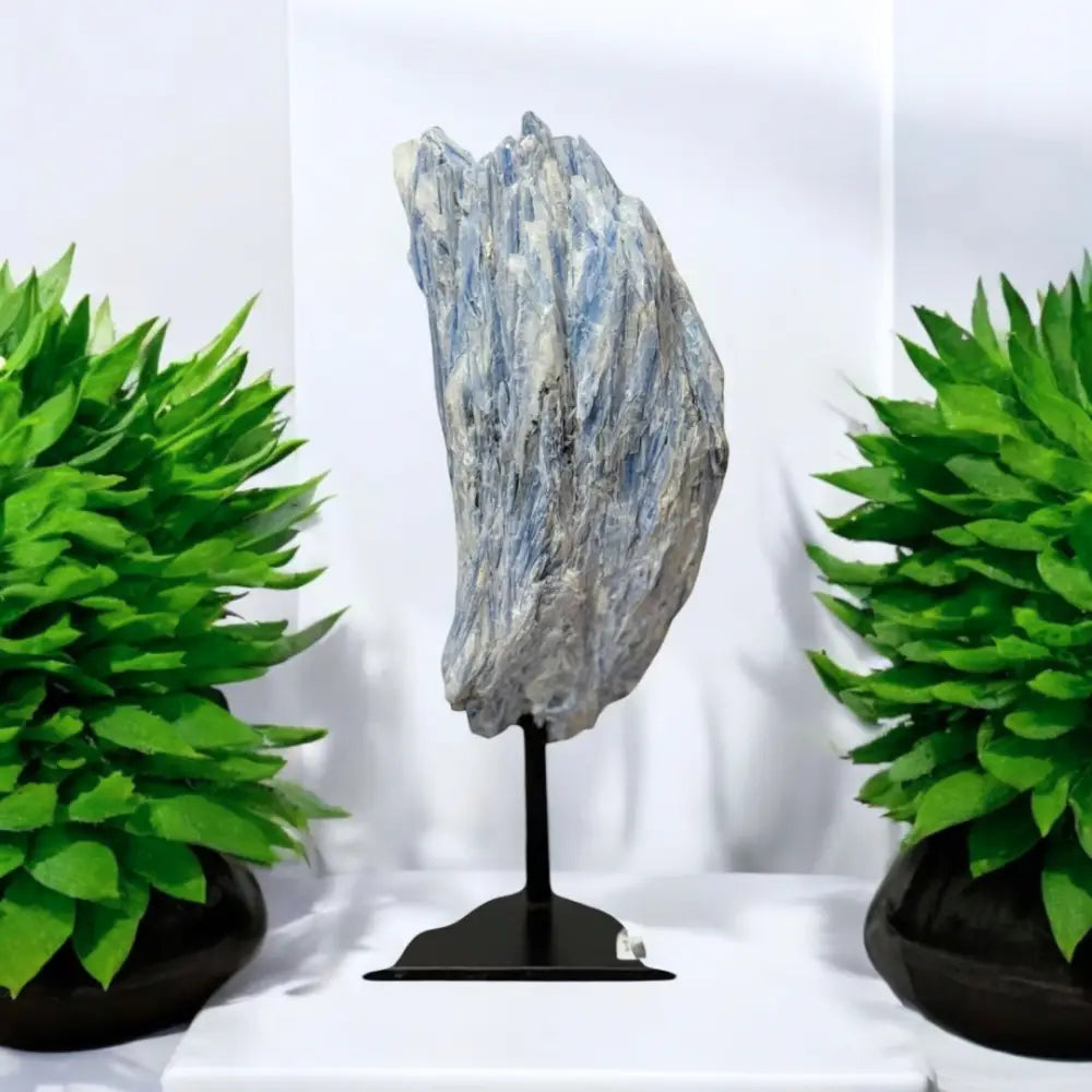 Blue Kyanite AAA+ Grade On Metal Stand 001