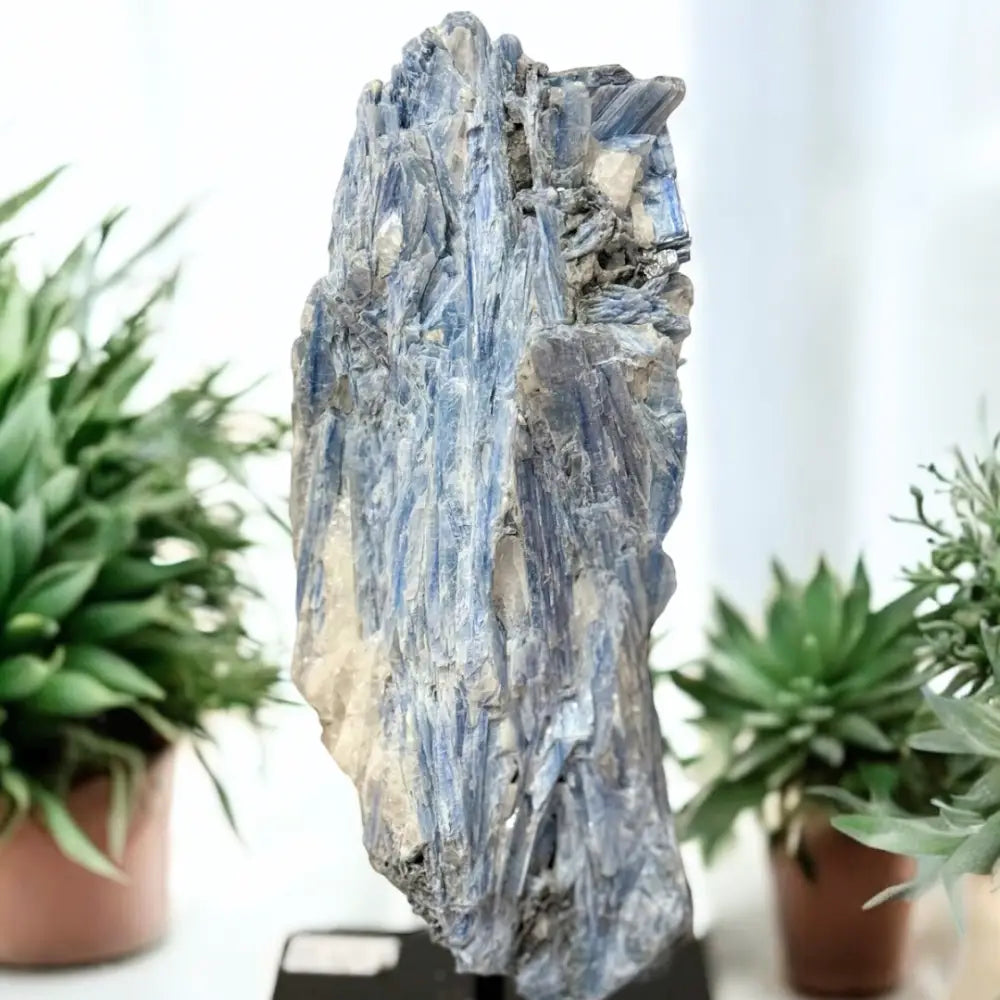 Blue Kyanite AAA+ Grade On Metal Stand 002