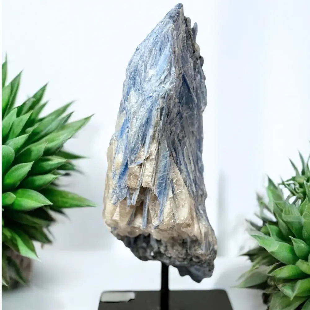 Blue Kyanite AAA+ Grade On Metal Stand