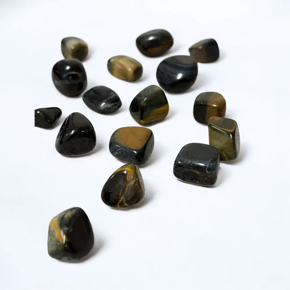 Blue Tiger Eye Tumble ~ Boosts Intuition & Mental Clarity and Study Medium crystal tumbles