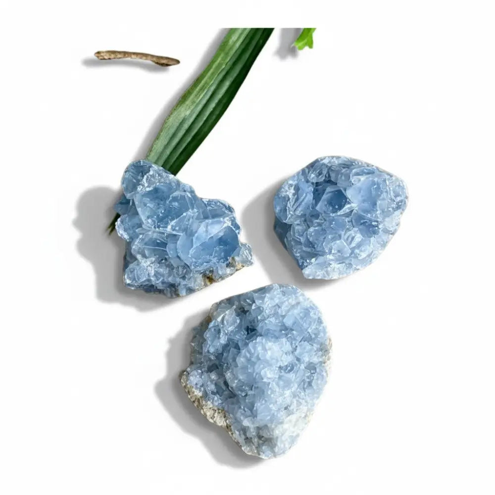 Celestite Cluster Crystal