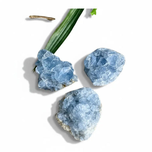 Celestite Cluster Crystal