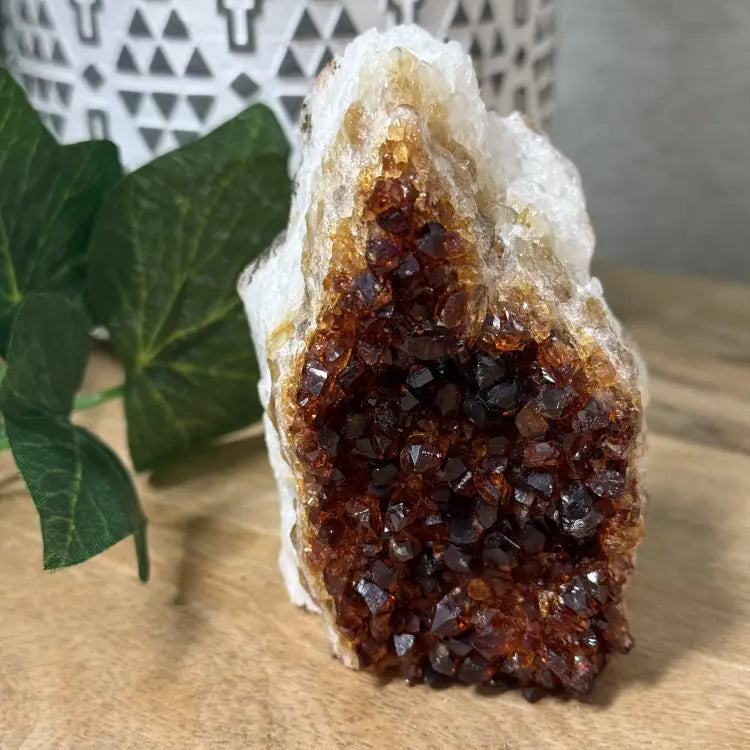 Citrine Geode - Standing Cut Base