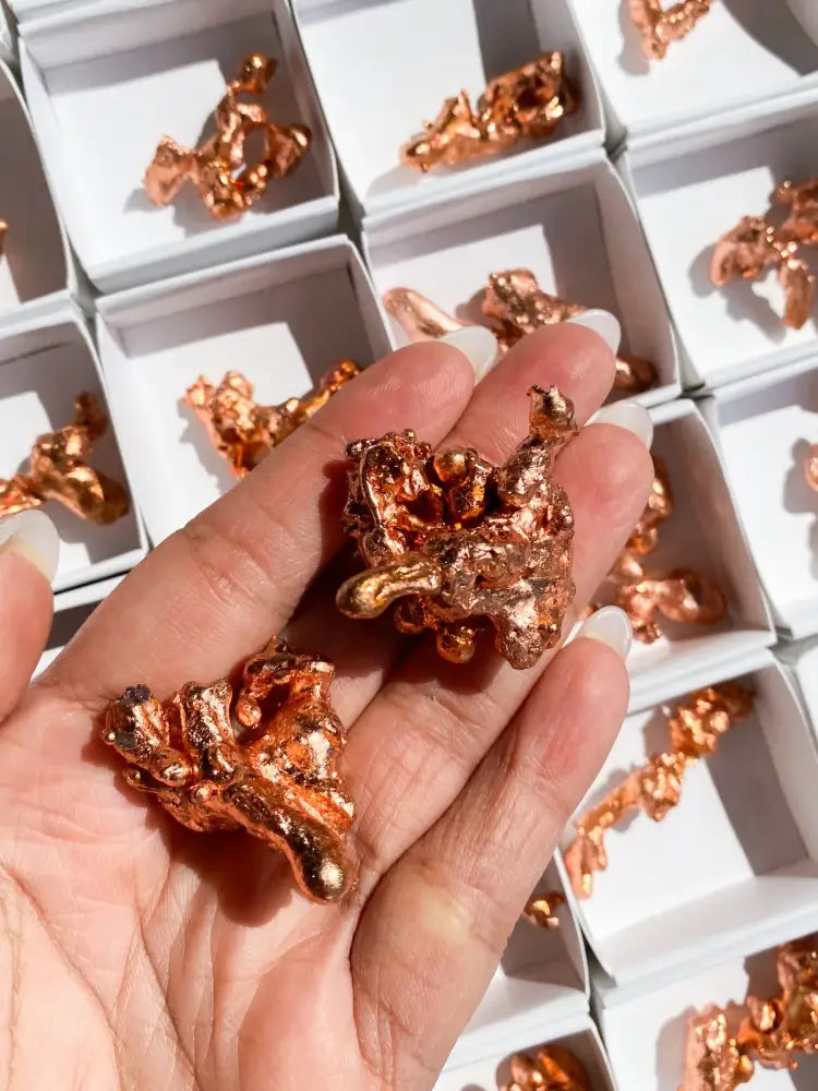 Copper Sculptures Specimens Copper