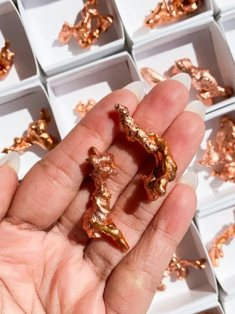 Copper Sculptures Specimens Copper