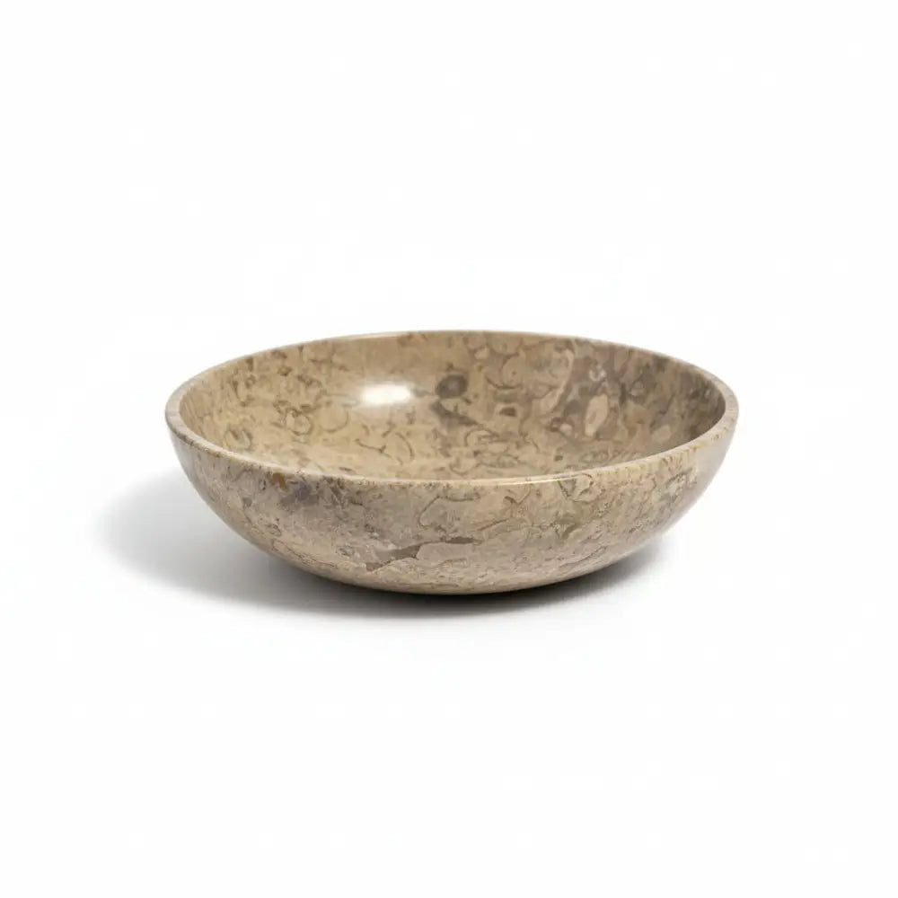 Coral Fossil Bowls fossil bowl
