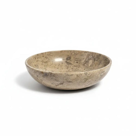 Coral Fossil Bowls fossil bowl