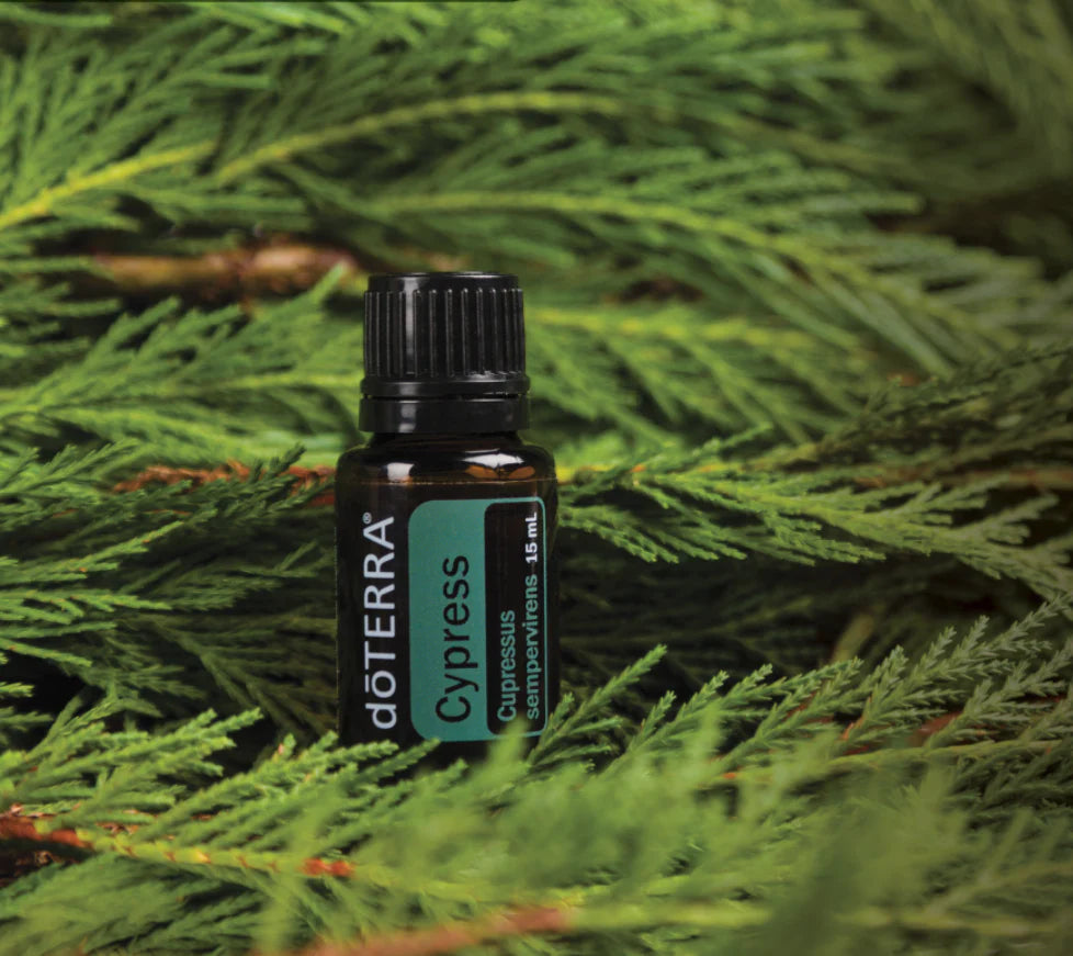 Doterra Cypress Oil