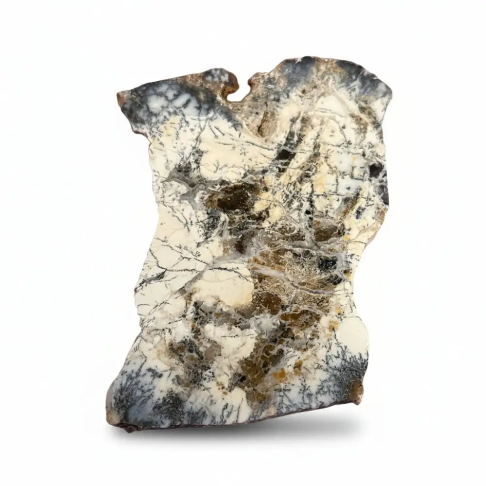 Dendritic Agate Slice Crystal slice