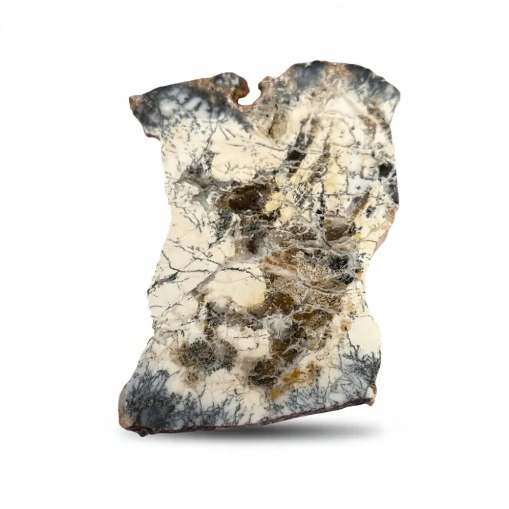 Dendritic Agate Slice Crystal slice