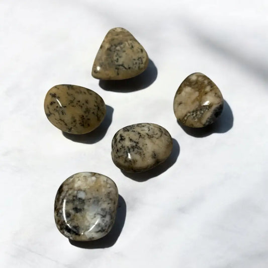 Dendritic Agate tumble ~ Business Growth & Personal Development Crystal tumble