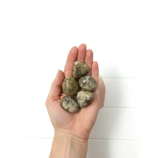 Dendritic Agate tumble ~ Business Growth & Personal Development Crystal tumble