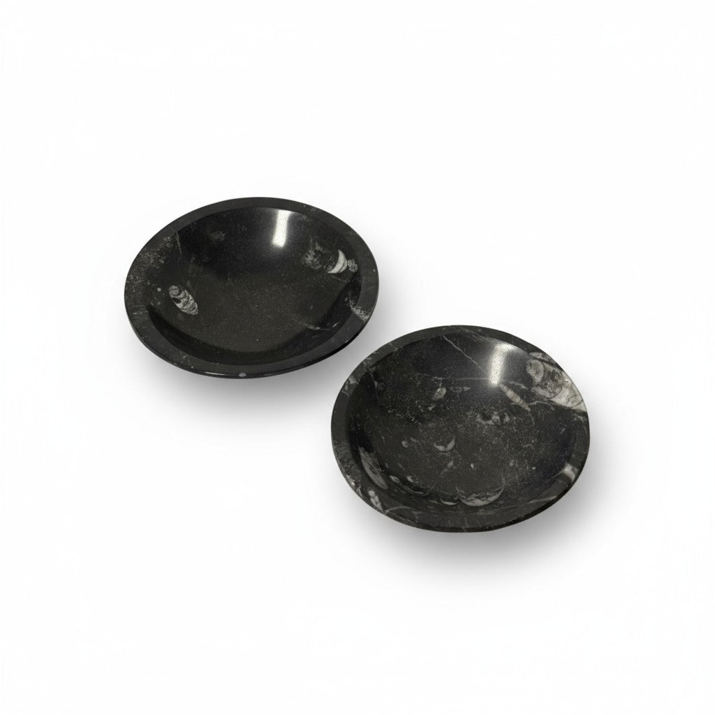 Orthoceras Fossil Bowls