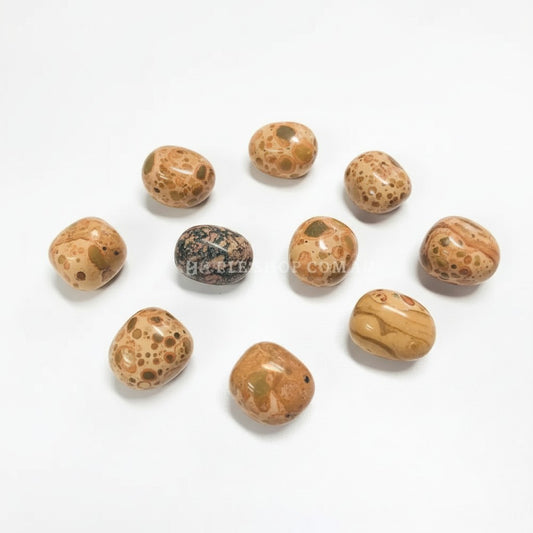 Leopardite Jasper Tumbles ~ Shamanic Journey & Boosts Strategic Thinking