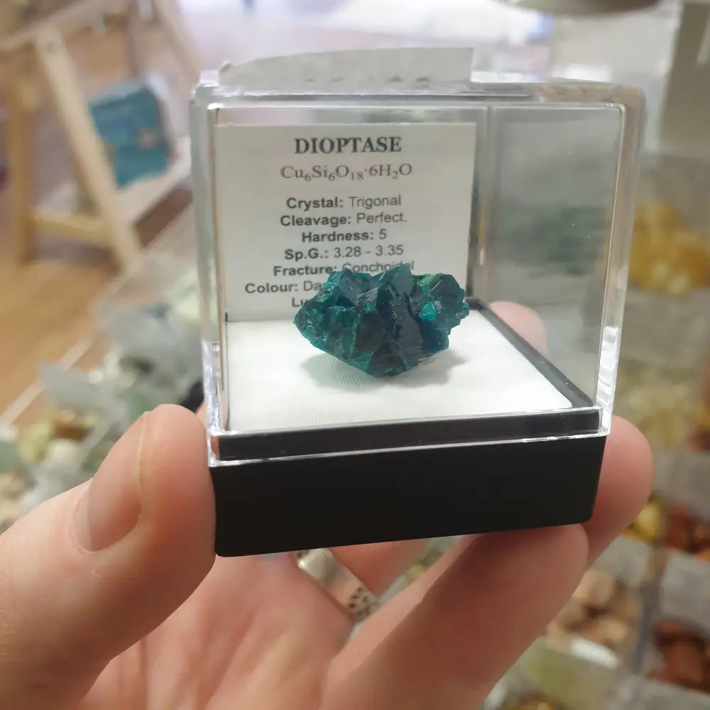 Dioptase Specimen in Case dioptase