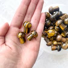 Tiger Eye Mushroom