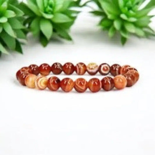 Dream Agate Bead Bracelet 10mm Bracelets