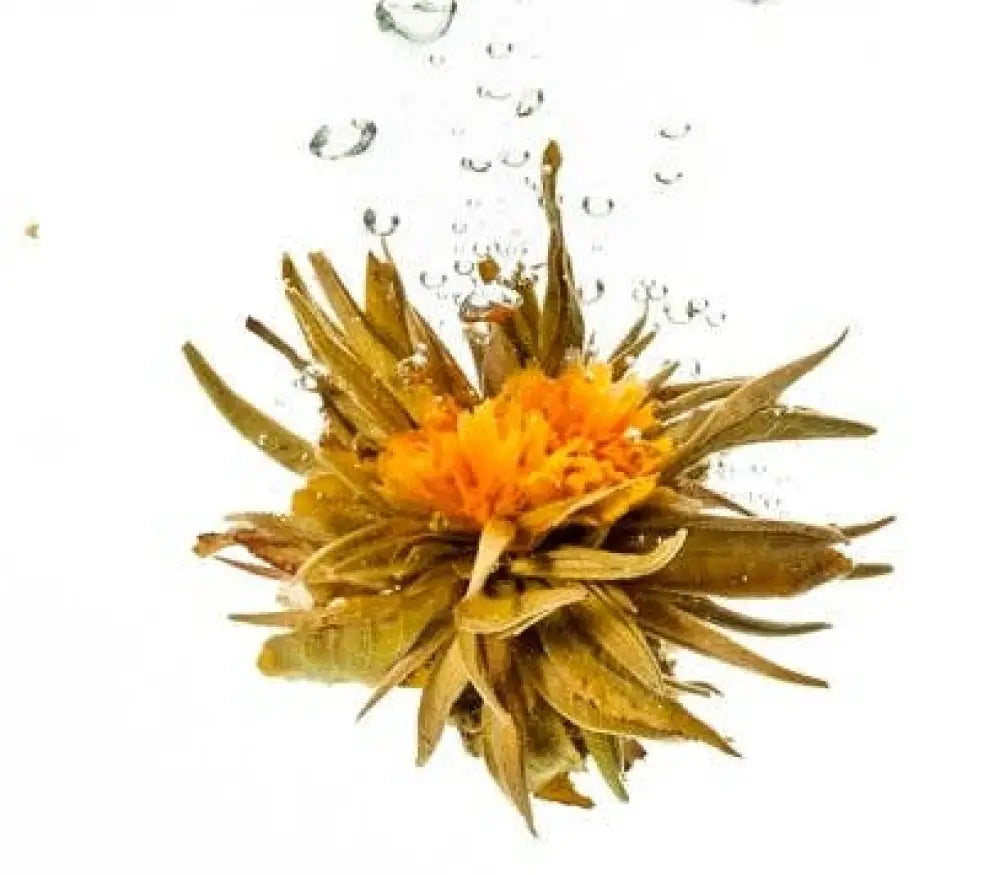 Flowering Tea Ball ’golden Fortune’