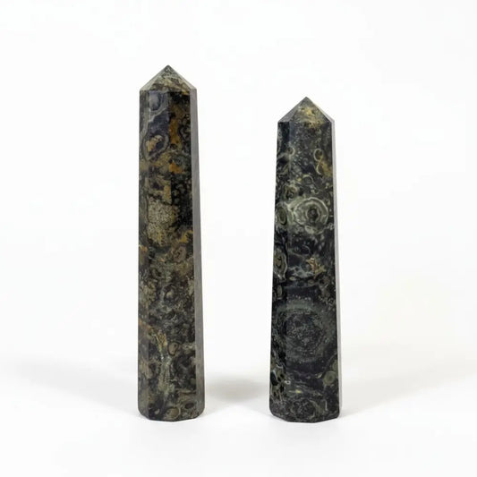 Kambaba Jasper Generators crystals