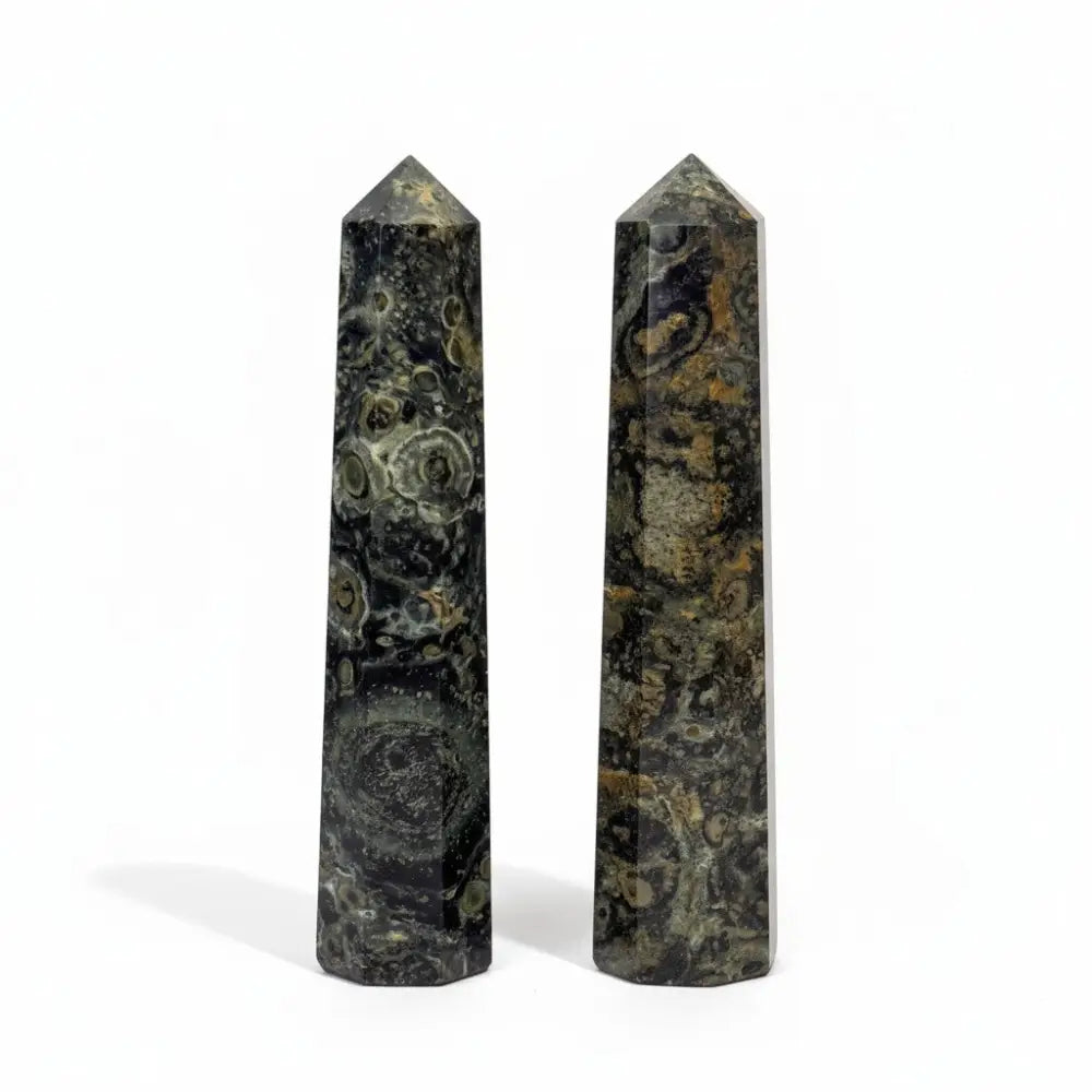 Kambaba Jasper Generators crystals