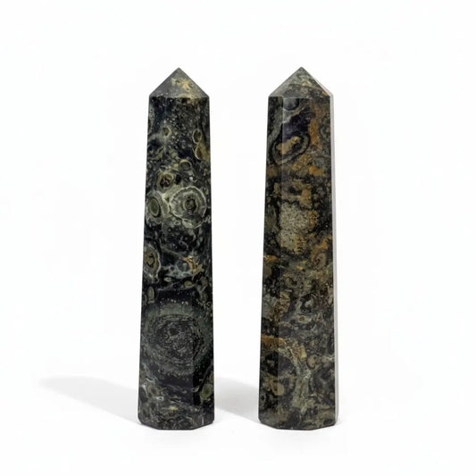 Kambaba Jasper Generators crystals