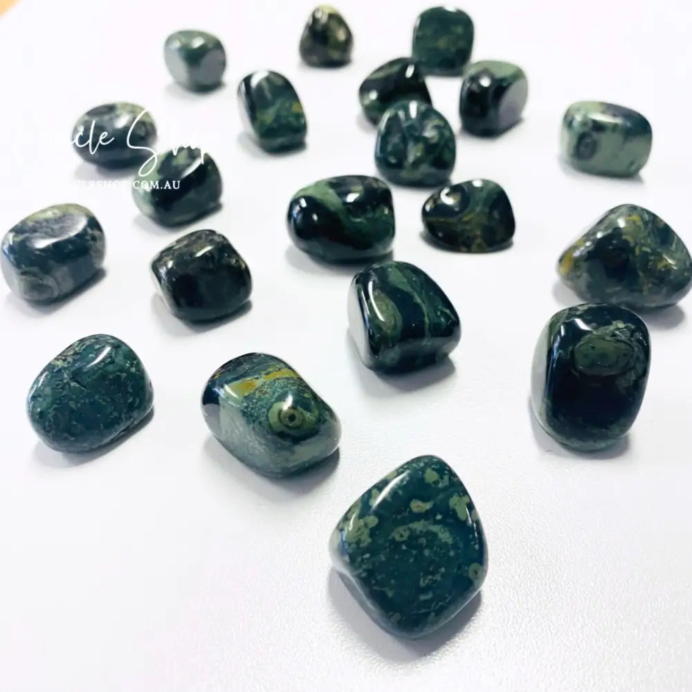 Kambaba Jasper Tumbles ~ Ancient Wisdom & Supports Trust in Self Medium crystal tumbles