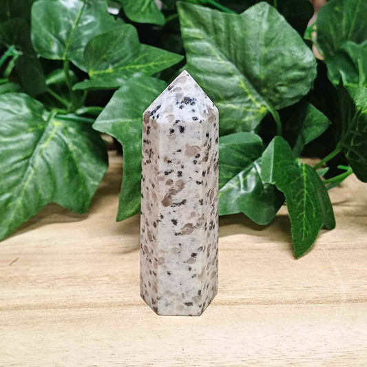 Kiwi Jasper Tower 001