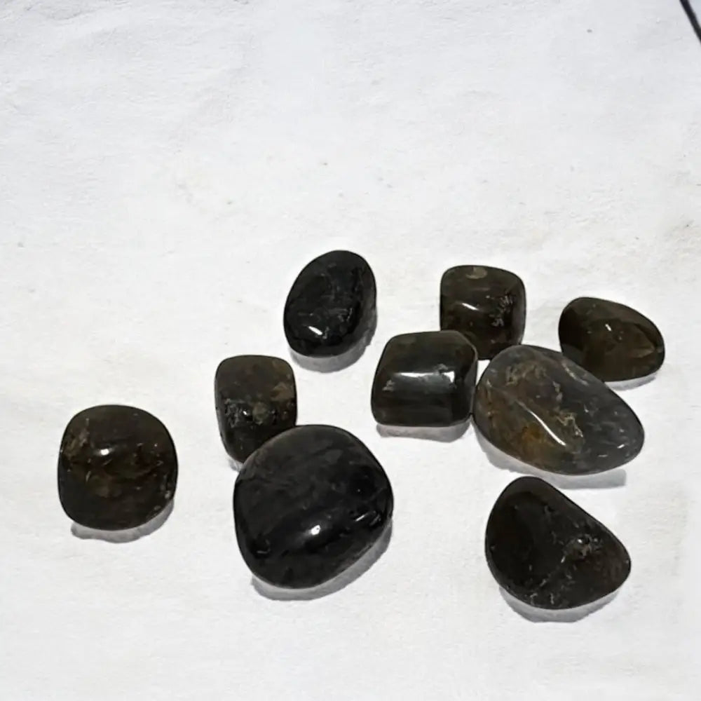 Labradorite Tumbled Crystals ~ Awakens Psychic & Protects Aura Large Crystal tumble