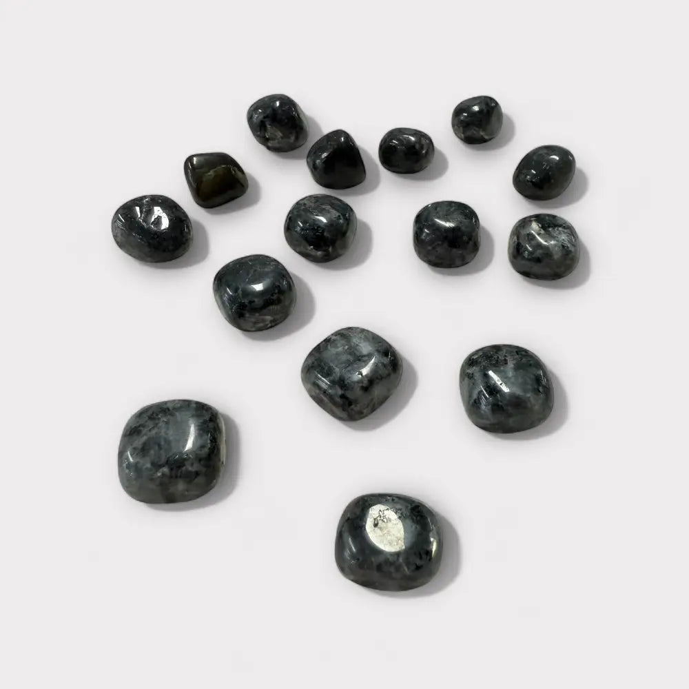 Larvikite Tumble ~ Supports Self Trust & Practical Problem Solving Medium Tumbled Crystal