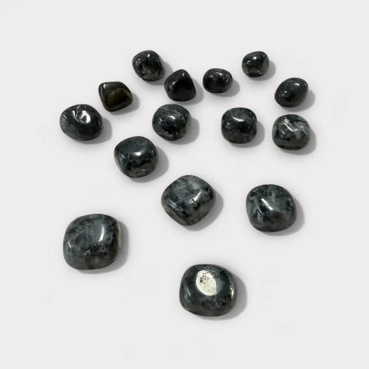Larvikite Tumble ~ Supports Self Trust & Practical Problem Solving Medium Tumbled Crystal