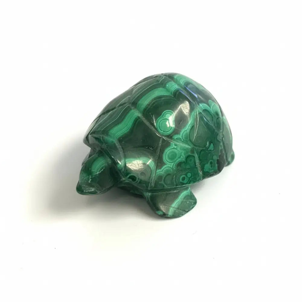 Oracle Turtle Malachite Crystal Turtle – The Oracle Shop