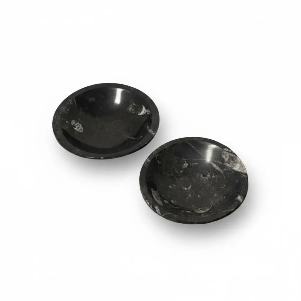 Orthoceras Fossil Bowls crystal bowl