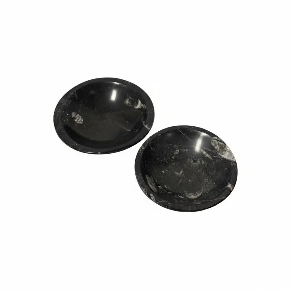 Orthoceras Fossil Bowls crystal bowl