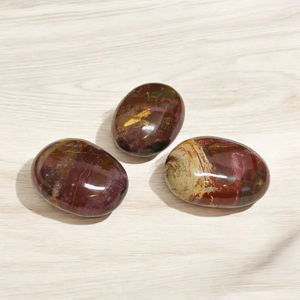 PETRIFIED WOOD Palm Stones freeform crystal