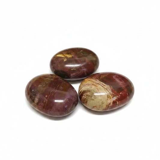 PETRIFIED WOOD  Palm Stones