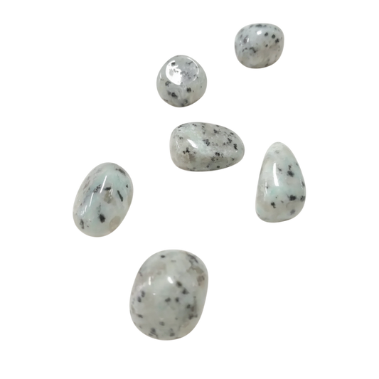 Kiwi Jasper Tumble ~ Supports Healing & Boosts Tranquility