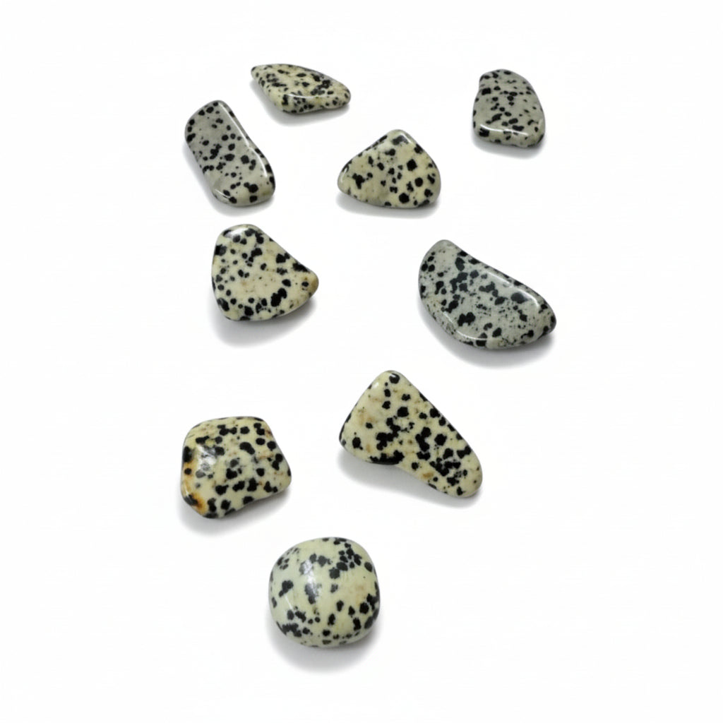 Dalmatian Jasper Crystal Tumble ~ Boosts Fun & Grounds Energy