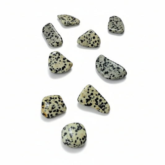 Dalmatian Jasper Crystal Tumble ~ Boosts Fun & Grounds Energy
