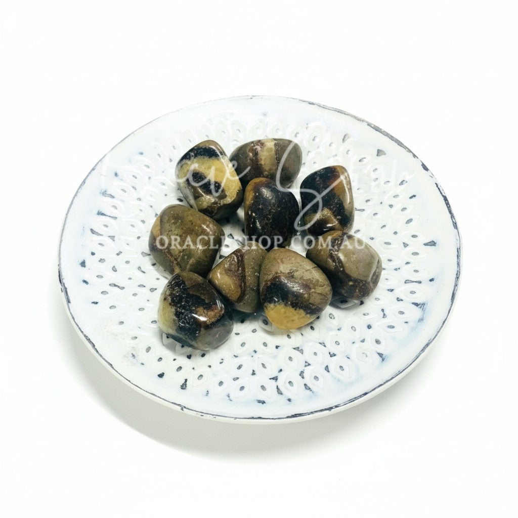 Septarian Tumbles ~ Patience and Grounding