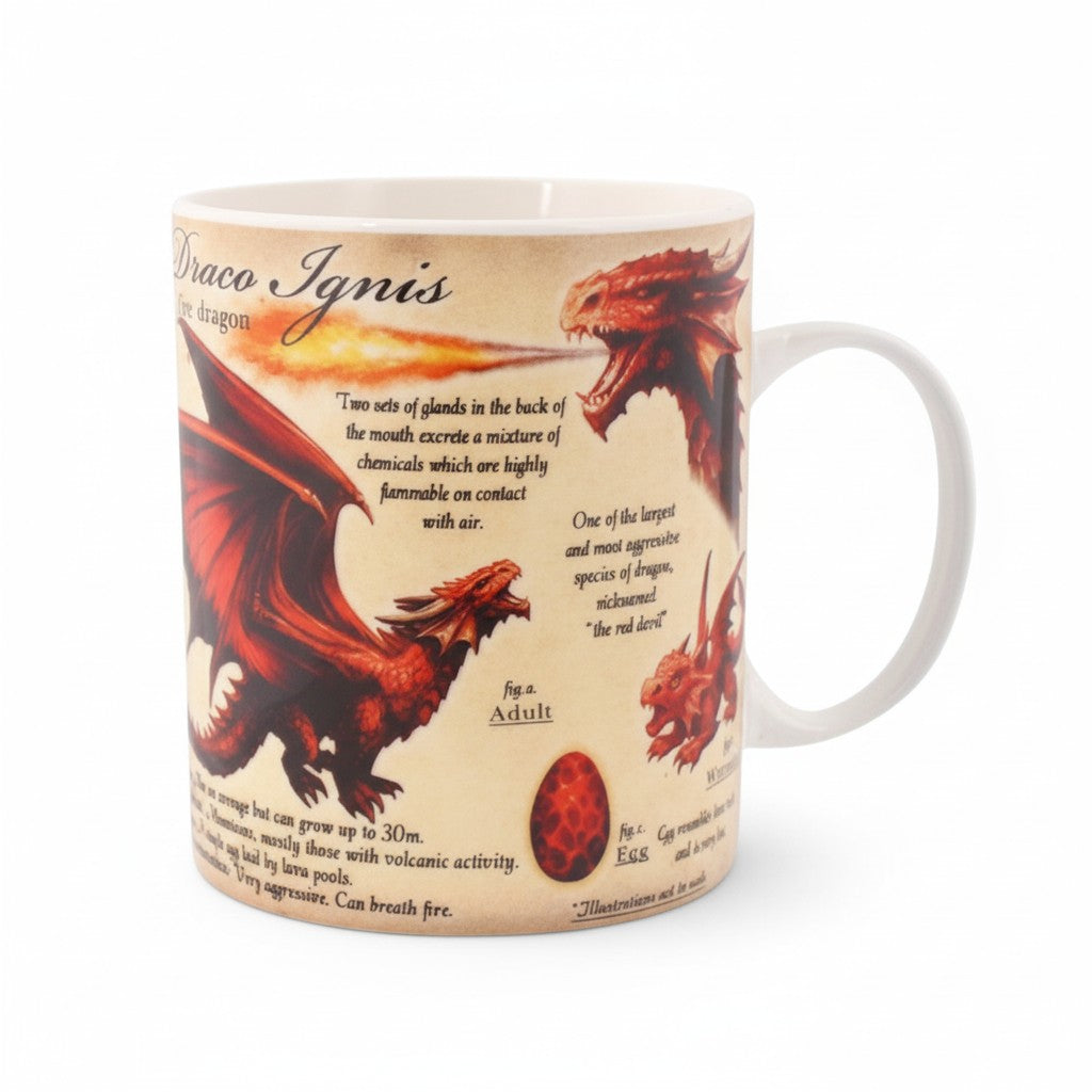 Fire Dragon Mug