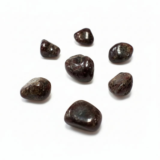 Garnet Tumbled Crystals ~ Passion & Goal Achievement