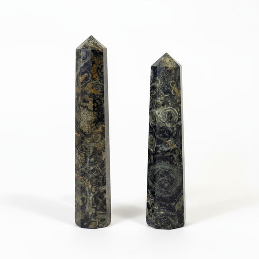 Kambaba Jasper Generators