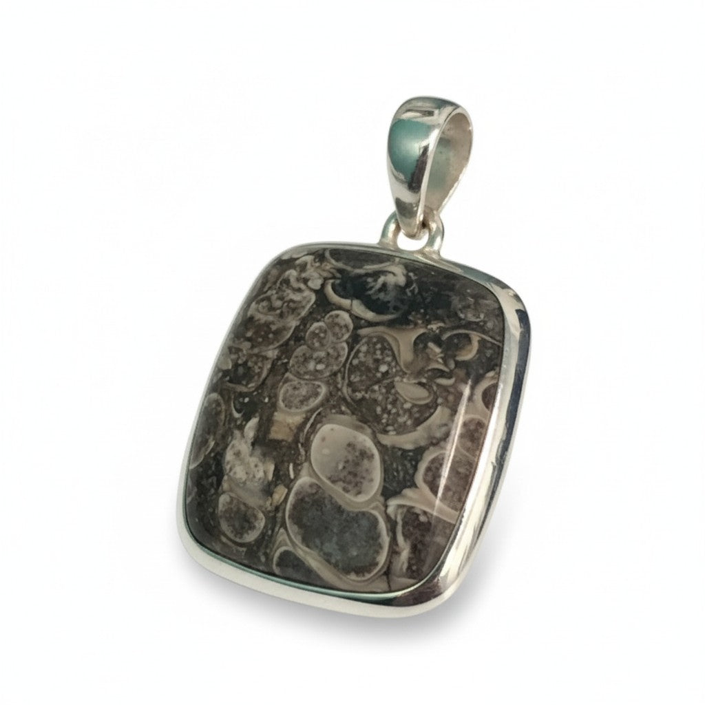 Turtella Jasper Pendant in Silver