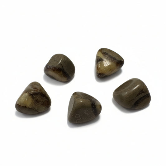 Septarian Tumbles ~ Patience and Grounding