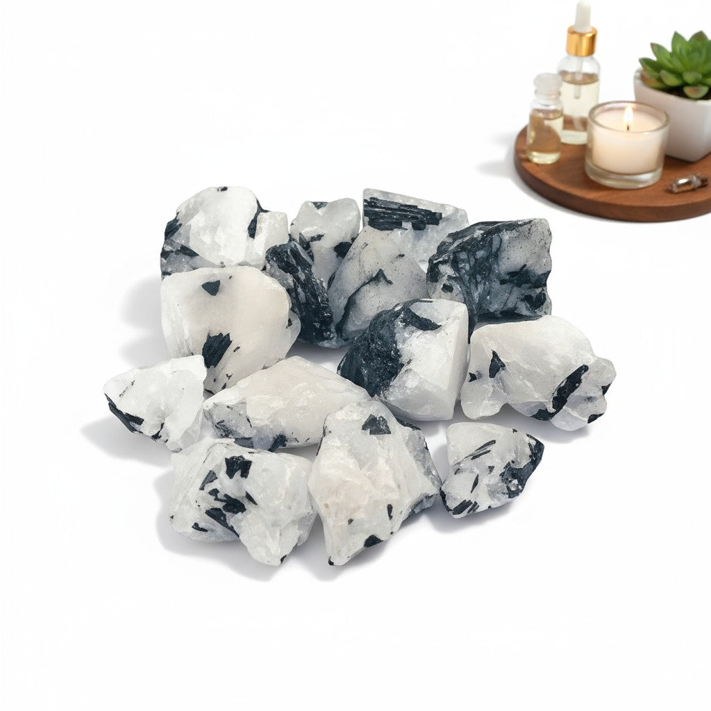 Black Tourmaline in Clear Quartz Rough